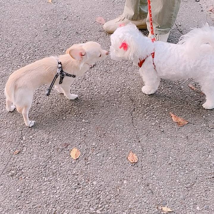 9fdd7e3e 3bc3 444b b04a 3e1f391b841a 1600077002372