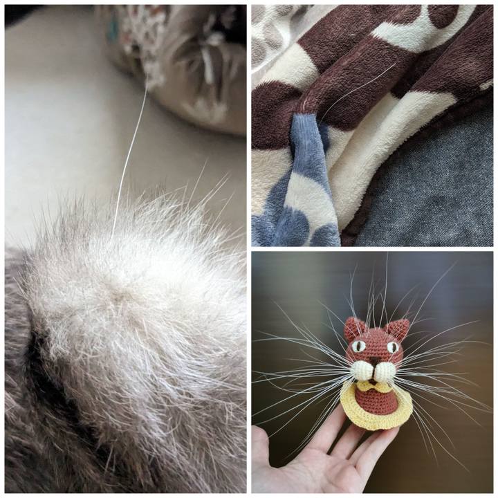 9fddb22d 1a33 44b6 a5b4 473d8793df01 1680928166641