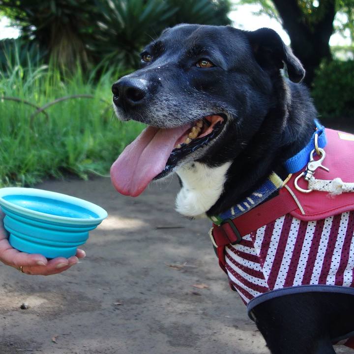 9fddc5c4 188f 4e54 96ad 1bfc0611dd1d 1686875283947