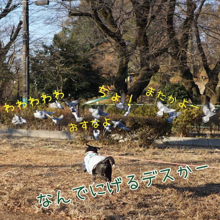 9fde1d71 9493 48fe 8b74 87f0716b06dd 1770254068539