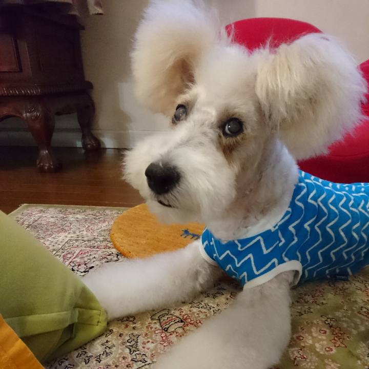 9fde2a15 bbe6 4644 8a30 2921444a00b2 1573112604882