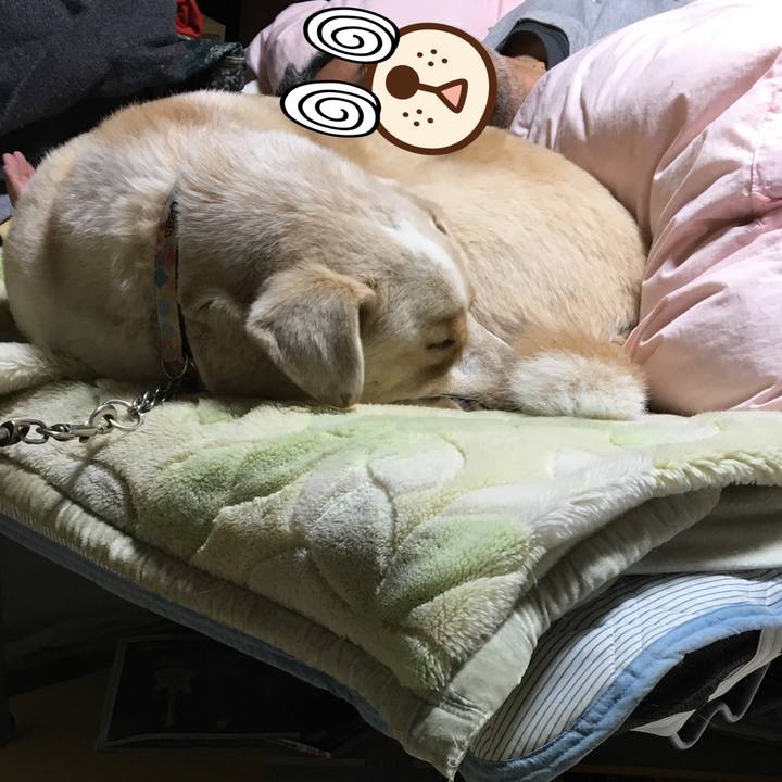 9fde31ff b59e 4f1e 92f3 f3569f587a34 1516113857032