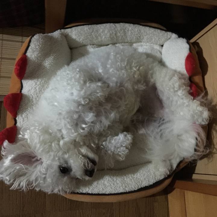 9fde9290 a44f 4ddb ac02 e929d2f3c217 1536584293457