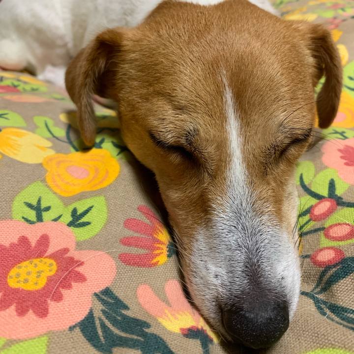 9fde9555 e04f 45b6 9805 94c14d4c6c39 1562243304361