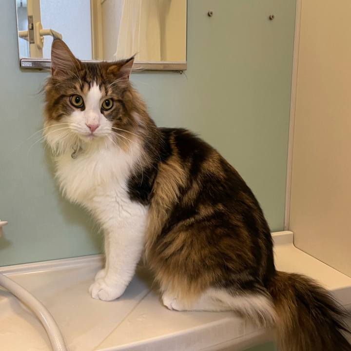 9fde9699 8650 436d a531 f83570143a0e 1642450924976