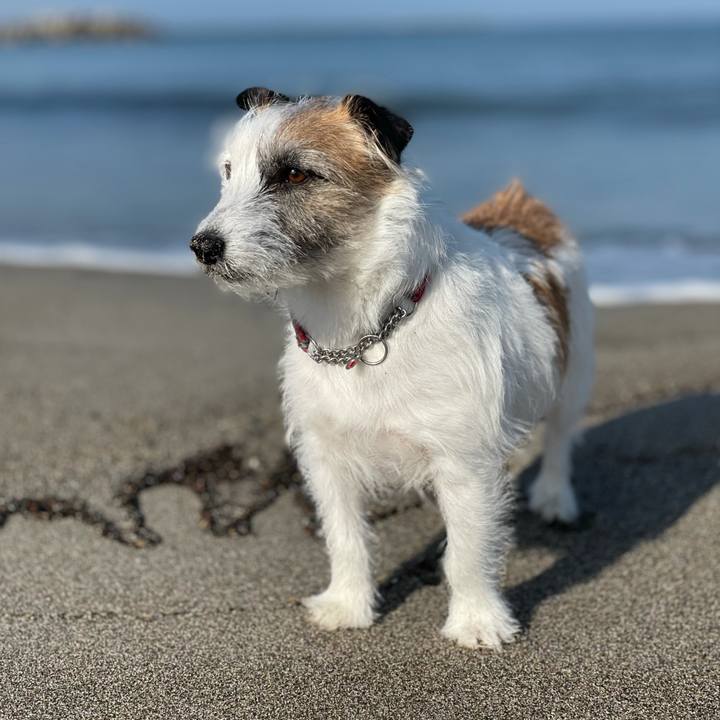 9fdeb785 b528 4bee 8c60 ae3514b13205 1619131804166