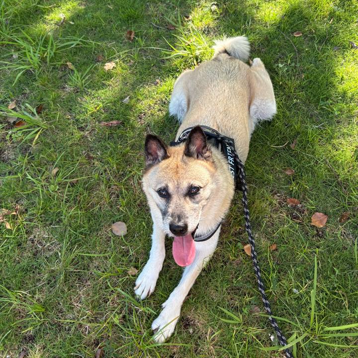 9fdecfe4 955f 4211 945b 08edaa64b5dc 1757161171857