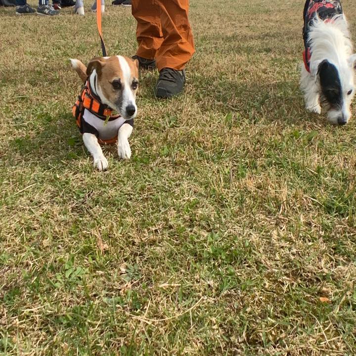 9fdf2ed8 5c5a 41d3 9928 7a8ad93c2545 1573961369816