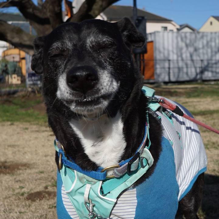 9fdf3839 9cde 480b 967c 7300494989e6 1772929727267