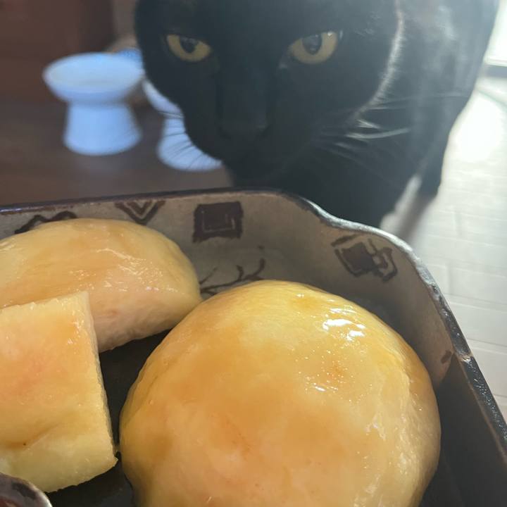 9fdf40c5 c1b2 4072 bed0 2528ce346f03 1756797077984