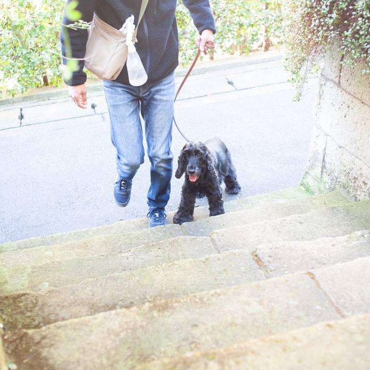 9fdf490c 8bd6 4c9a 95e0 557d998c7602 1575513587797