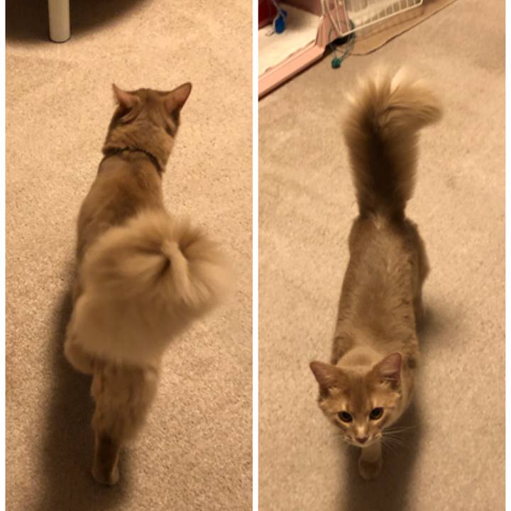 9fdf8a9a 92f0 454e 9da0 761ce7c8687b 1556325635035