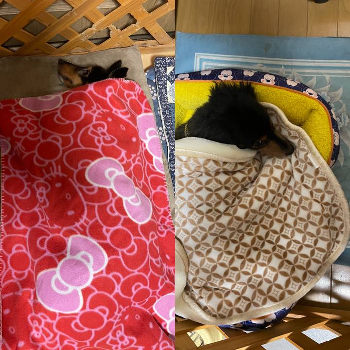 9fdf96fa 7ce9 44e3 a9f0 b5fbde26e7fa 1612620331467