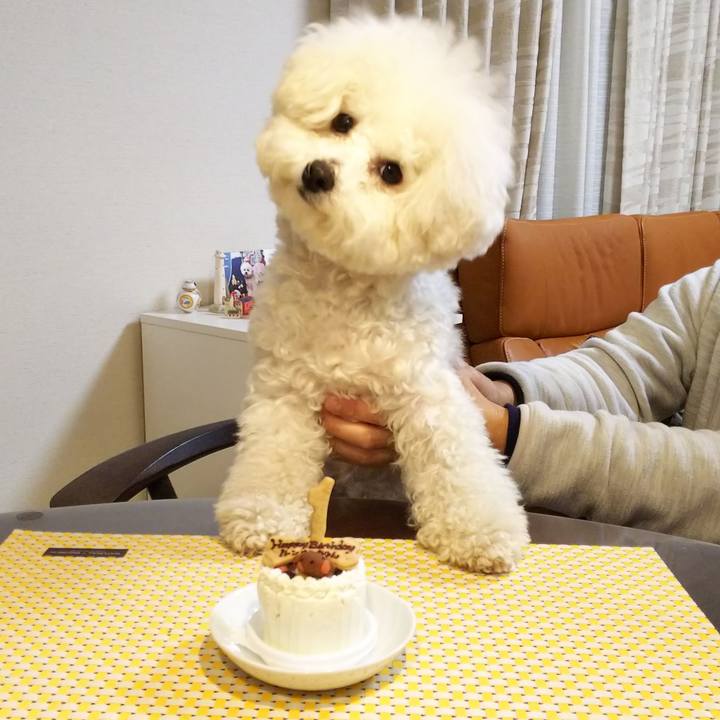 9fdfa773 f325 40bf a302 7c274fbee122 1517398206373