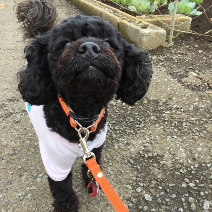 9fdff1b1 08a8 418b 8a43 0f5b555bf8ae 1523767910651