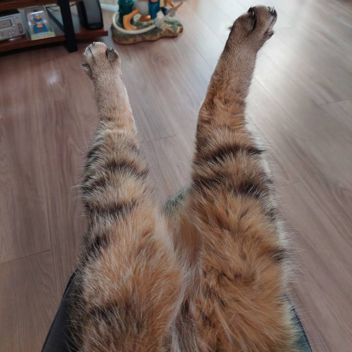 9fe03eb7 7fcb 424d a7dd ef034c7645ae 1769210457677