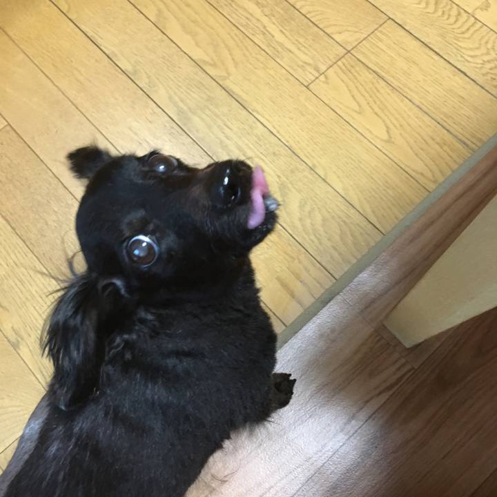 9fe06c4b 4a50 4121 92f8 516ad076eb46 1535754242462