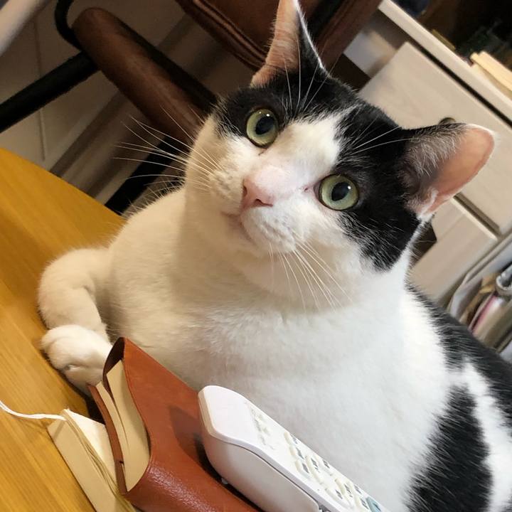 9fe07abf ba38 4337 8c29 08e360682242 1567069347512