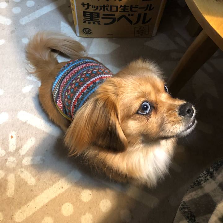 9fe08fa9 edda 4cfa bf6b 676010f655ca 1519336988920