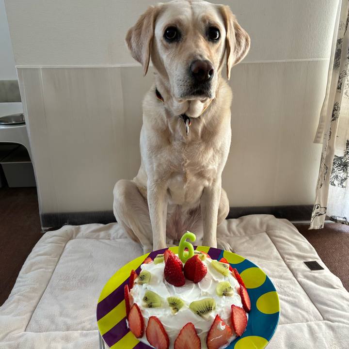 9fe0c413 d914 44df 849d 7139a5e250f0 1771729364300