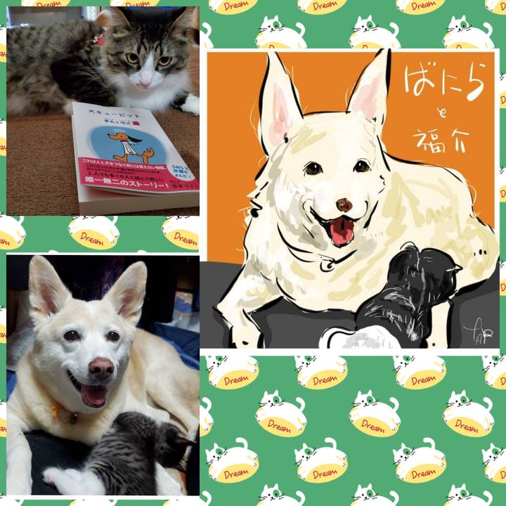 9fe0d476 a720 474d 993e 40197ab4e54b 1723075357153