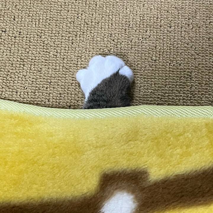 9fe0f924 c921 4bea ad3a 99199a6fa770 1762384924636