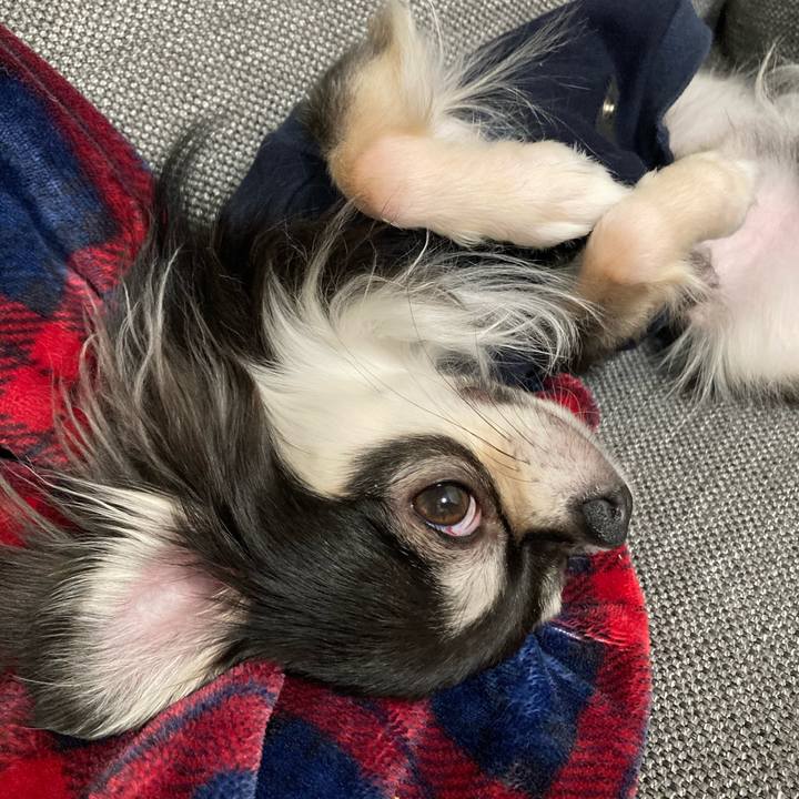 9fe109e4 1ac3 4e44 83ef d6fab314b559 1615126813780