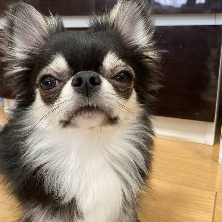 9fe13a12 edd8 486d 9e0e 4e4fd6d709f1 1622866982869