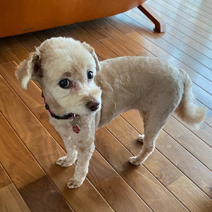 9fe153ad f956 4d57 938f 332729748504 1622781004370