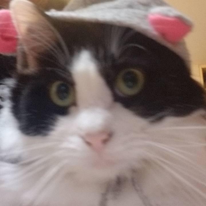 9fe15cf5 4eb7 4ac4 afd2 d08079e31140 1572092251978