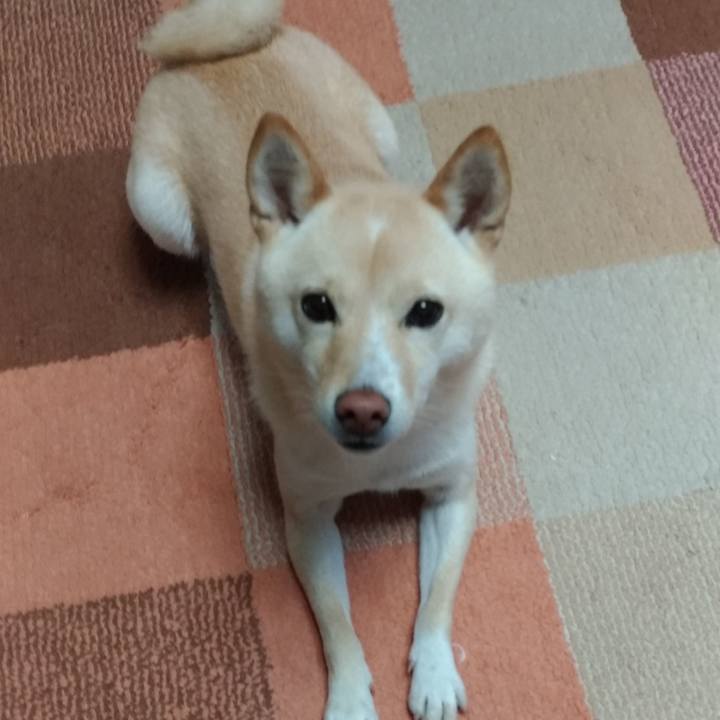 9fe201ca 356c 4a08 b616 ed2269050760 1574201324785