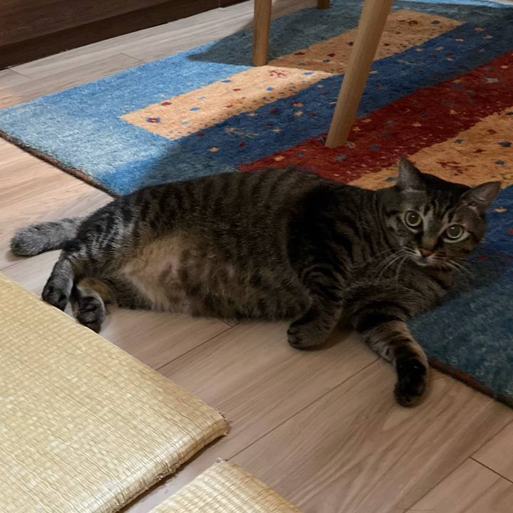 9fe223ae bc4b 4840 8b5a 1991ab7a41d8 1600908222758