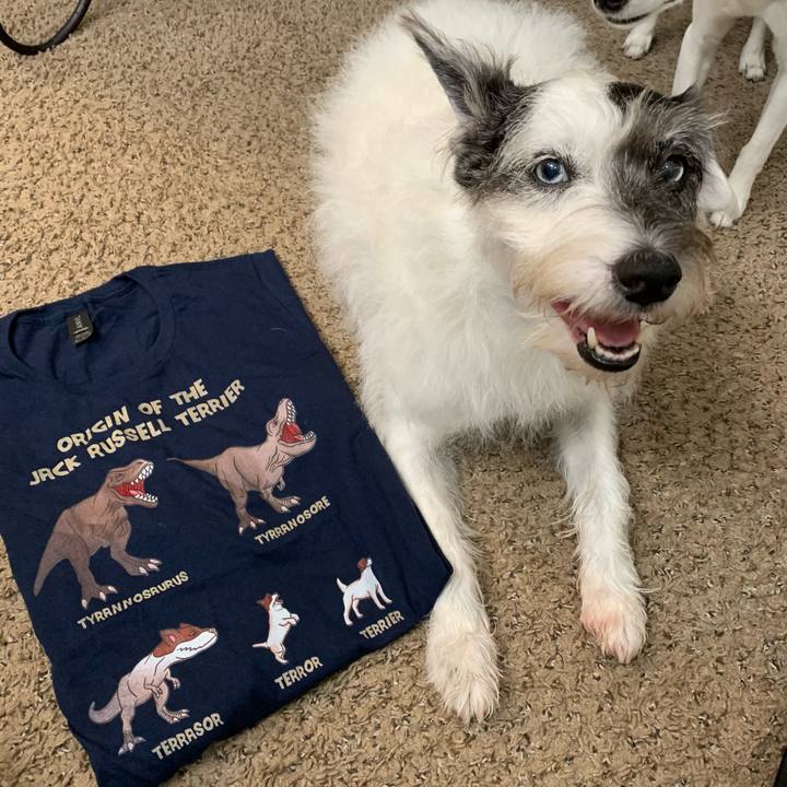 9fe2275d a743 49c7 a14b 4ddeae4a4c8d 1640730341172