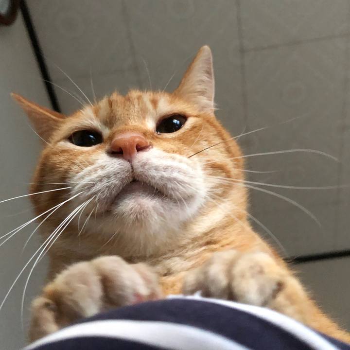 9fe22ab2 9e6f 4928 84ce ea5d136cb22a 1721418326887