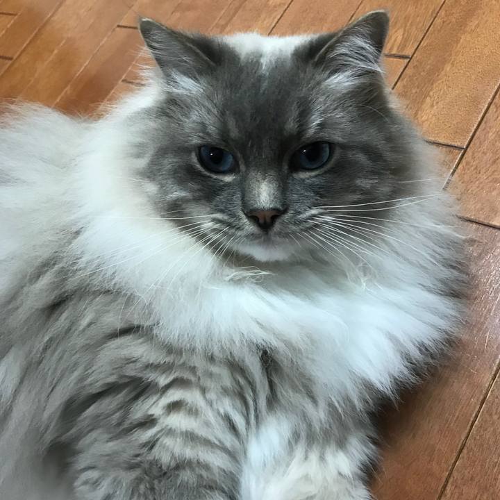 9fe263f5 1603 43ea ae04 52520edb81eb 1520686301340