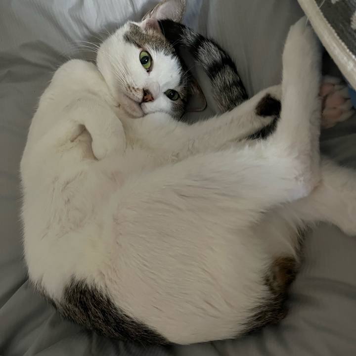 9fe26e72 4f0a 495c 8f59 b565bdc24f41 1759145425604