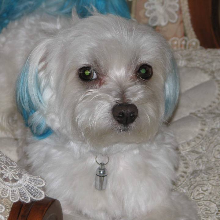 9fe29fa5 57ef 4241 ad87 c78c10d58495 1577636131629