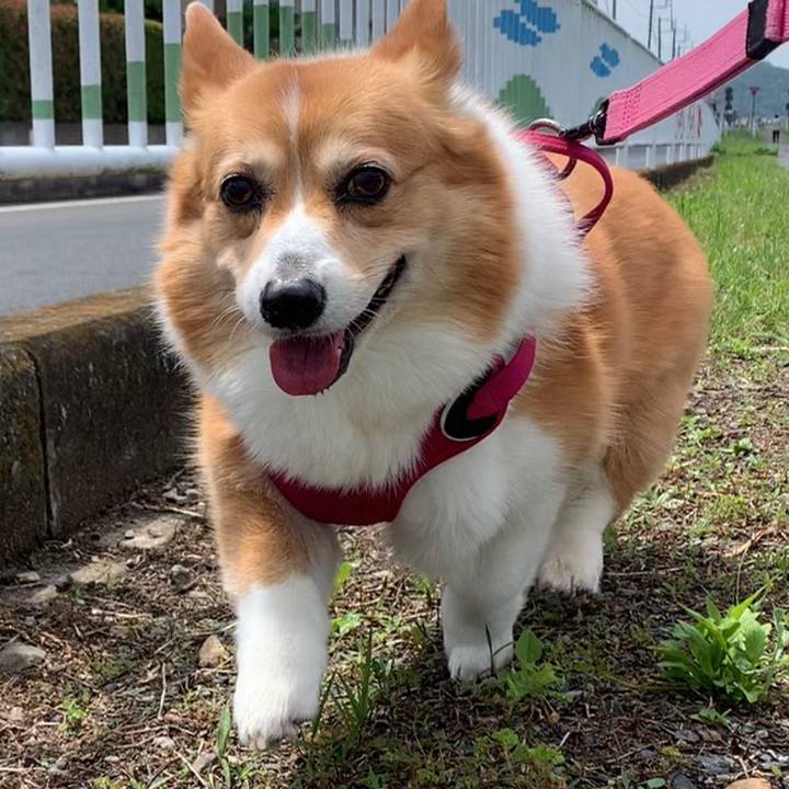 9fe2a384 4b6a 4d05 bc74 673da601dc53 1685411369126