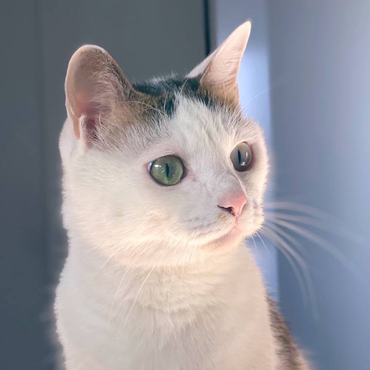 9fe2c84e 7d34 404f a7b3 5e08d812b84b 1642991511977