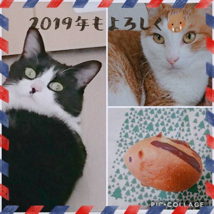 9fe2d3b4 92f2 486f 8e67 8cdbbe12d60f 1546317536953