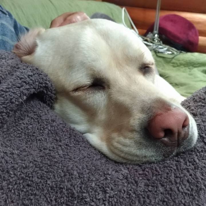 9fe2d880 b869 48b4 ace4 e11d60931b56 1543231511512