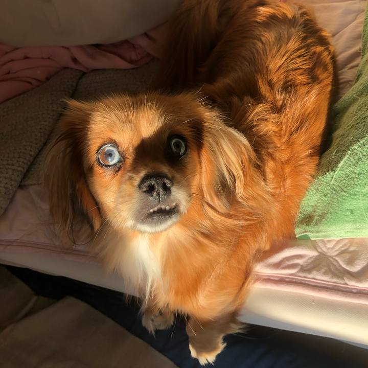 9fe2e8f1 4bd2 4280 a087 80d25401124f 1541629113205