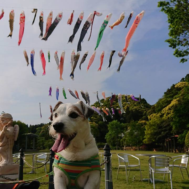 9fe345f2 fbb9 492a 8830 ecfae83c87a0 1557758890758