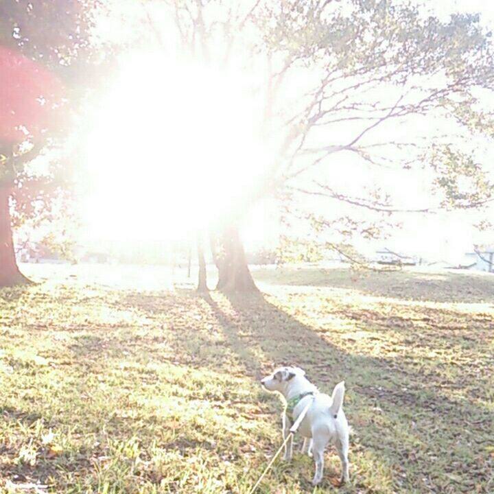 9fe34789 732f 40a5 ab72 db21a28ac139 1509841083188