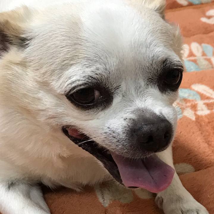 9fe3897a f1c4 492e 9fbb bcef3435b532 1556870283216