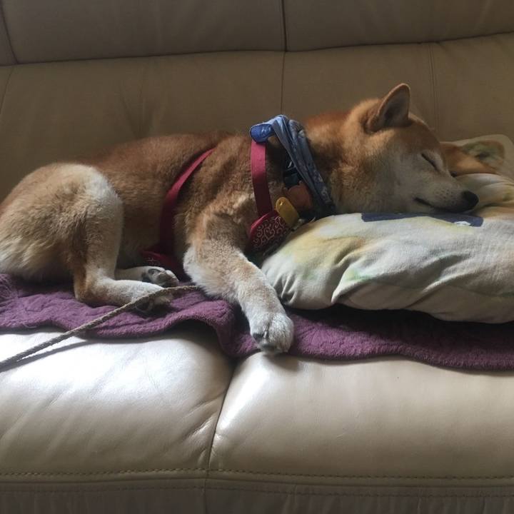 9fe3bed8 4e81 40ef bd81 7cadda80a82f 1561089101515