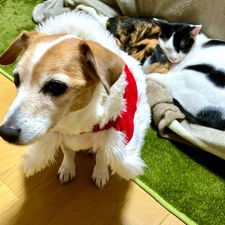 9fe3c9f3 a5f0 41ad 8594 72949cfd9d10 1703331768286