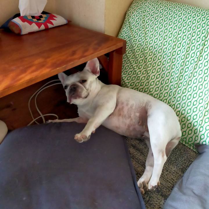 9fe417ee fe61 453c be39 81ce8f339cc4 1662332004077