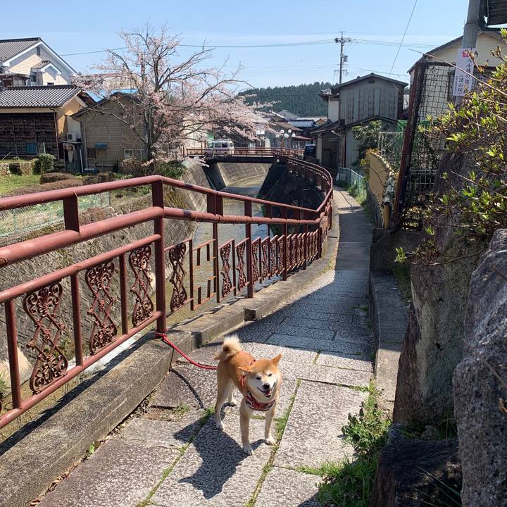 9fe4314e e0e9 424d b4ce 6e5a3f576adb 1586510847134