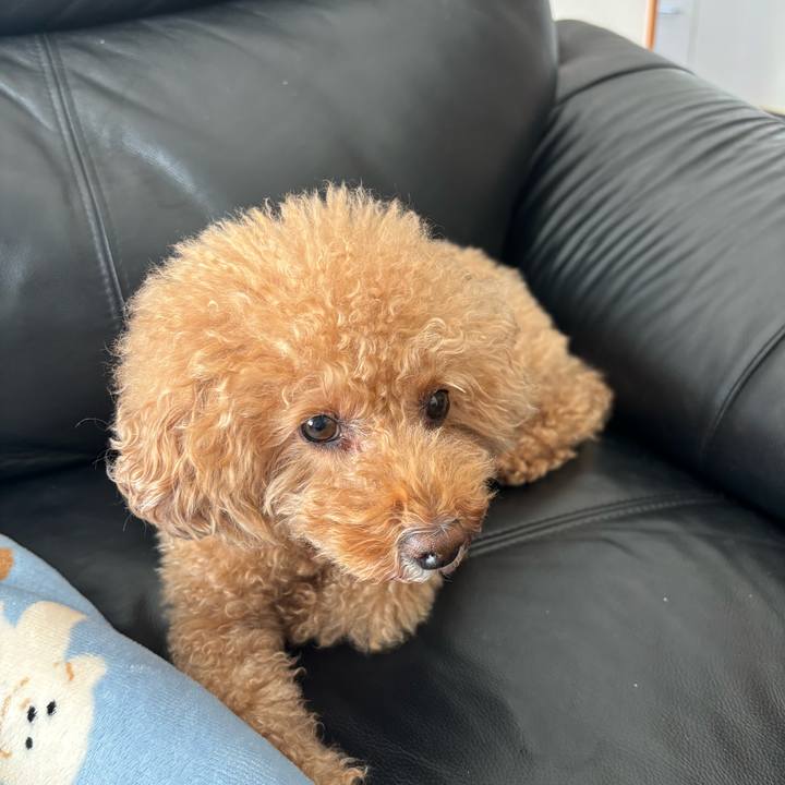 9fe43ec5 6e71 4cb4 952b af6714f1ab35 1730779302499